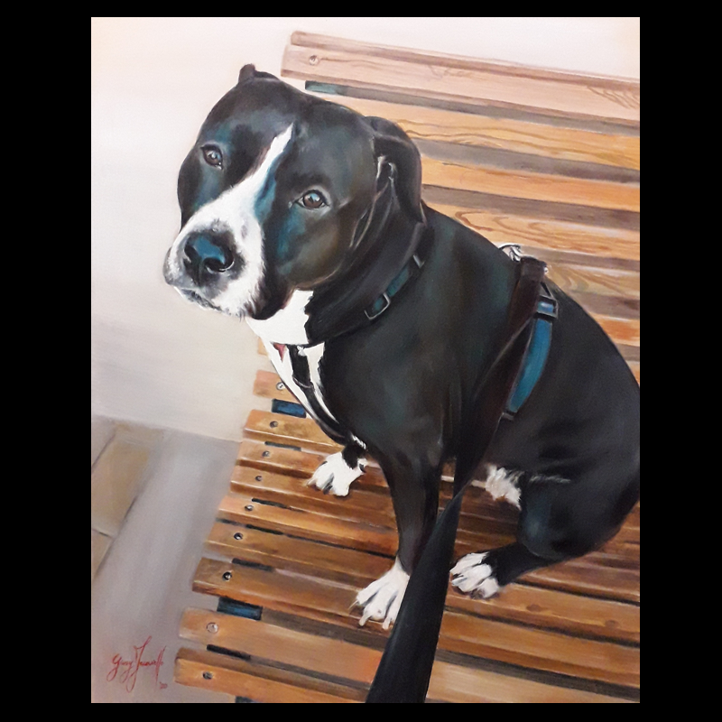 RITRATTO DI CANE (ritratto su commissione da foto)