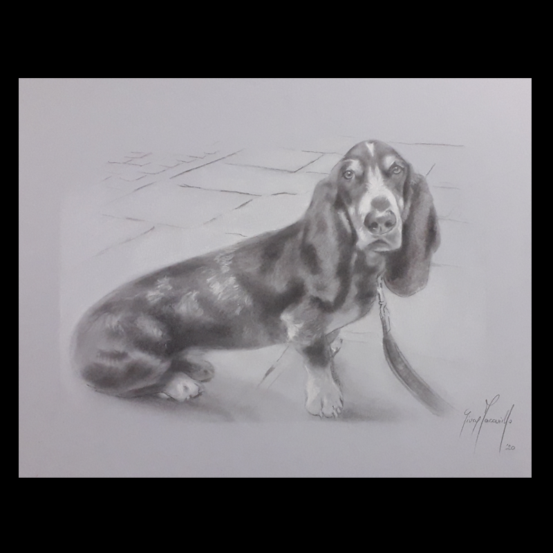 RITRATTO DI ANIMALE (ritratto su commissione da foto)