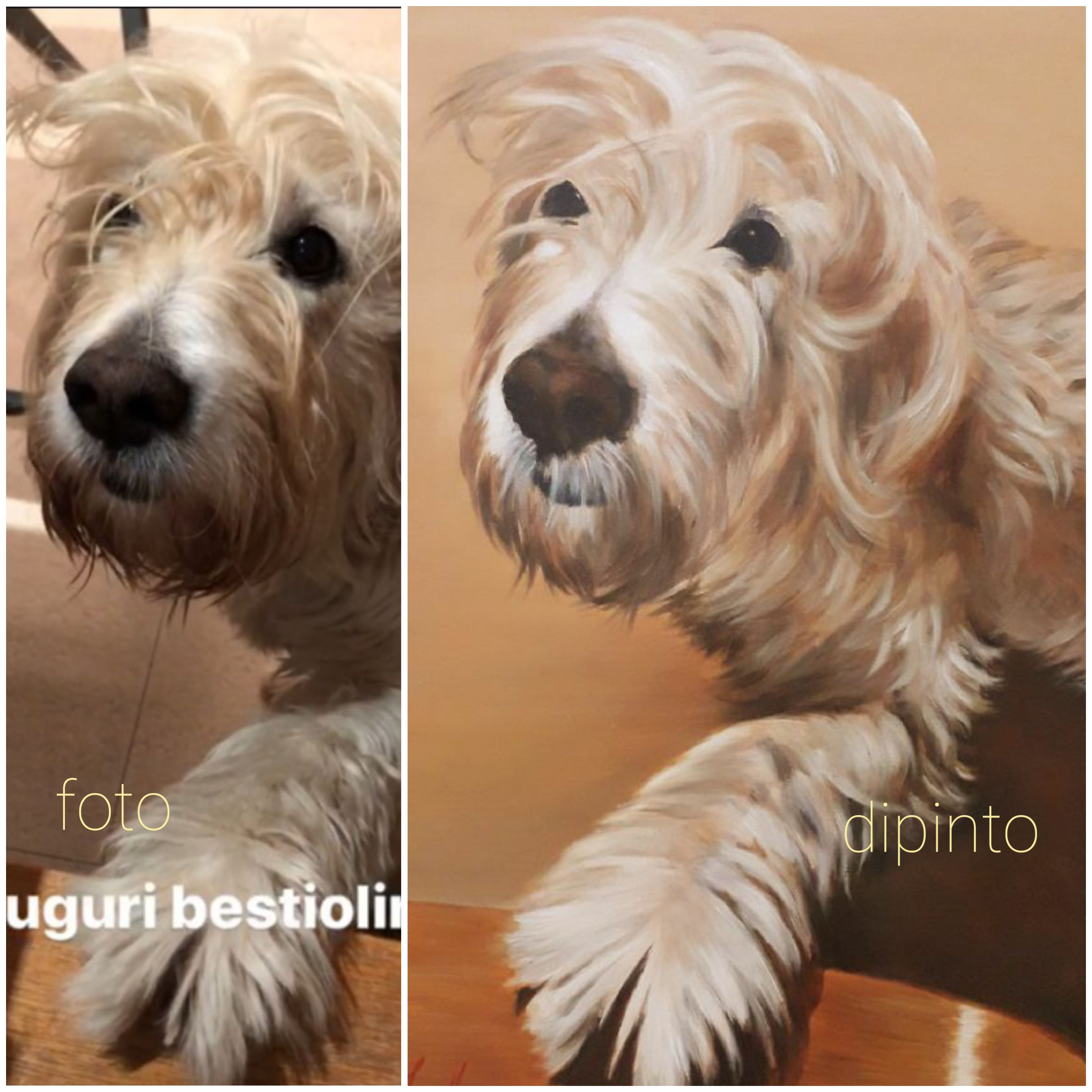 DALLA FOTO AL DIPINTO (ritratto su commissione da foto)
